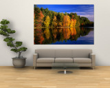 Autumn Trees in New Hampshire, New Hampshire, USA Reproduction murale géante
