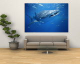 Petits poissons nageant à côté d'un requin-baleine (Rhincodon typus) Reproduction murale géante