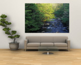 Elkmount Area, Great Smoky Mountains National Park, Tennessee, USA Wall Mural by Darrell Gulin