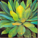 Agave Reproducción en lienzo de la lámina por Jillian David