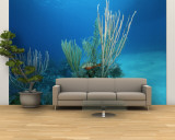 Coral Reef Scene off the Coast of Grand Turk Island Wall Mural – Large by Wolcott Henry
