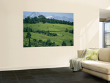 Tea Plantations Covering the Hills Near Mount Kenya Wall Mural by Michael S. Lewis