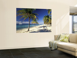 Tropical Beach on Isla de la Juventud, Cuba Wall Mural by Gavriel Jecan