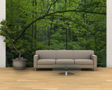 A Lush Green Eastern Woodland View Wall Mural – Large by Bates Littlehales