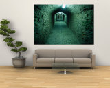 Catacombs Beneath d'Alt Vila, Old Walled Town, Ibiza City, Balearic Islands, Spain Wall Mural