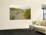 Path at Head of the Meadow Beach, Cape Cod National Seashore, Massachusetts, USA Mural por Jerry & Marcy Monkman