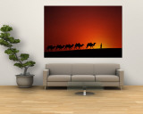 Camel Caravan at Sunrise, Silk Road, China Wall Mural by Keren Su