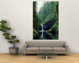 Punch Bowl Falls, Eagle Creek, Columbia River Gorge Scenic Area, Oregon, USA Wall Mural by Janis Miglavs