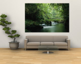 A Woodland Stream Winding Through a Burmese Jungle Wandgemälde von Steve Winter