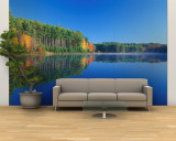 White Pines and Hardwoods, Meadow Lake, New Hampshire, USA Wall Mural – Large autor Jerry & Marcy Monkman White Pines and Hardwoods, Meadow Lake, New Hampshire, USA Wall Mural – Large autor Jerry & Marcy Monkman