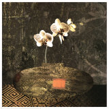 Simplicity II Kunstdrucke von Justin Gray