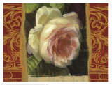 Classic White Rose Prints by Tony Lupas