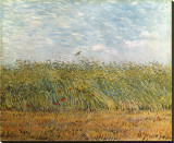 Wheat Field with a Lark Stretched Canvas Print by Vincent van Gogh