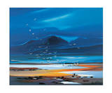 Flocks Of Gulls Limited Edition by Pam Carter
