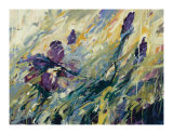 Aura II Limited Edition by Karen Silve