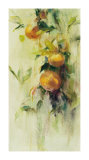 Golden Fruit Study III Limited Edition by Allyson Krowitz