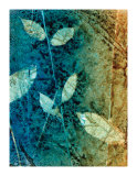 Natural Selection II Edición limitada por Caroline Ashton Natural Selection II Edición limitada por Caroline Ashton