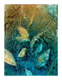 Natural Selection III Edición limitada por Caroline Ashton Natural Selection III Edición limitada por Caroline Ashton
