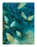 Natural Selection I Edición limitada por Caroline Ashton Natural Selection I Edición limitada por Caroline Ashton