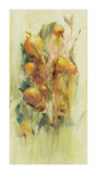 Golden Fruit Study II Limited Edition by Allyson Krowitz Golden Fruit Study II Limited Edition by Allyson Krowitz