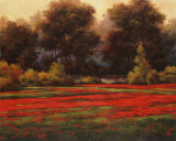 Poppy Meadows II Prints by T. C. Chiu