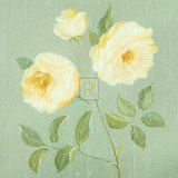 Abundant Rose I Poster by Mimi Roberts