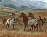 Appaloosa II Art par Ron Jenkins