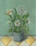 Potted Floral II Prints by Bell 