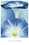 Blue Morning Glories Posters by Georgia O'Keeffe Blue Morning Glories Posters by Georgia O'Keeffe