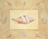 Shells I Posters by Bell 