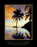 Reflect and Grow Posters por Chris Simpson Reflect and Grow Posters por Chris Simpson