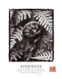Kindness: Fiddlehead Poster