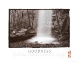 Goodness: Waterfall Posters