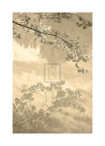 Tranquil Pool Poster by Adam Brock
