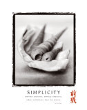 Simplicity: Shells Art