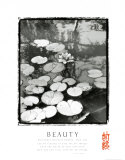 Beauty: Lilypads Plakater