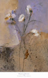 Flowers of June Series I Prints by Miquela Nicolau