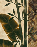 Temperate Flora Prints by Yvette St. Amant