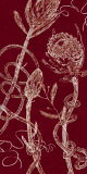 Prose and Verse III Láminas por Amori Prose and Verse III Láminas por Amori