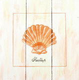 Scallop Holzschild