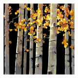 Aspen Grove Plakaty autor Michael O'Toole