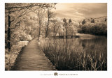 Take My Lead II Posters by Ily Szilagyi