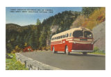 Bus in Great Smoky Mountains ポスター