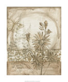 Twilight Meadow II Limited Edition by Megan Meagher