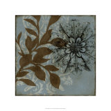 Dusty Rosettes I Limited Edition by Jennifer Goldberger