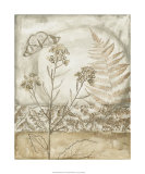 Twilight Meadow IV Limited Edition by Megan Meagher