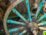 Wagon Wheels in Colorful Blues, Turkey Photographic Print by Darrell Gulin