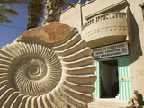 Fossil Shop, Erfoud, Ziz Valley, Morocco Photographic Print by Walter Bibikow