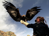 Takhuu Raising His Eagle, Golden Eagle Festival, Mongolia Photographie par Amos Nachoum