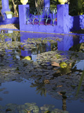 Villa Reflexion, Jardin Majorelle and Museum of Islamic Art, Marrakech, Morocco Photographic Print by Walter Bibikow